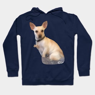 Little Charlie Hoodie